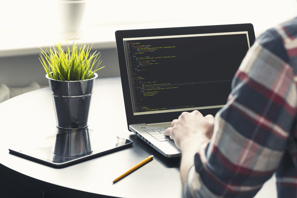 A view of a person performing coding on a laptop