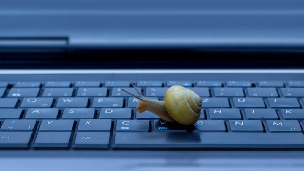 A view of a laptop keypad with a snail on it