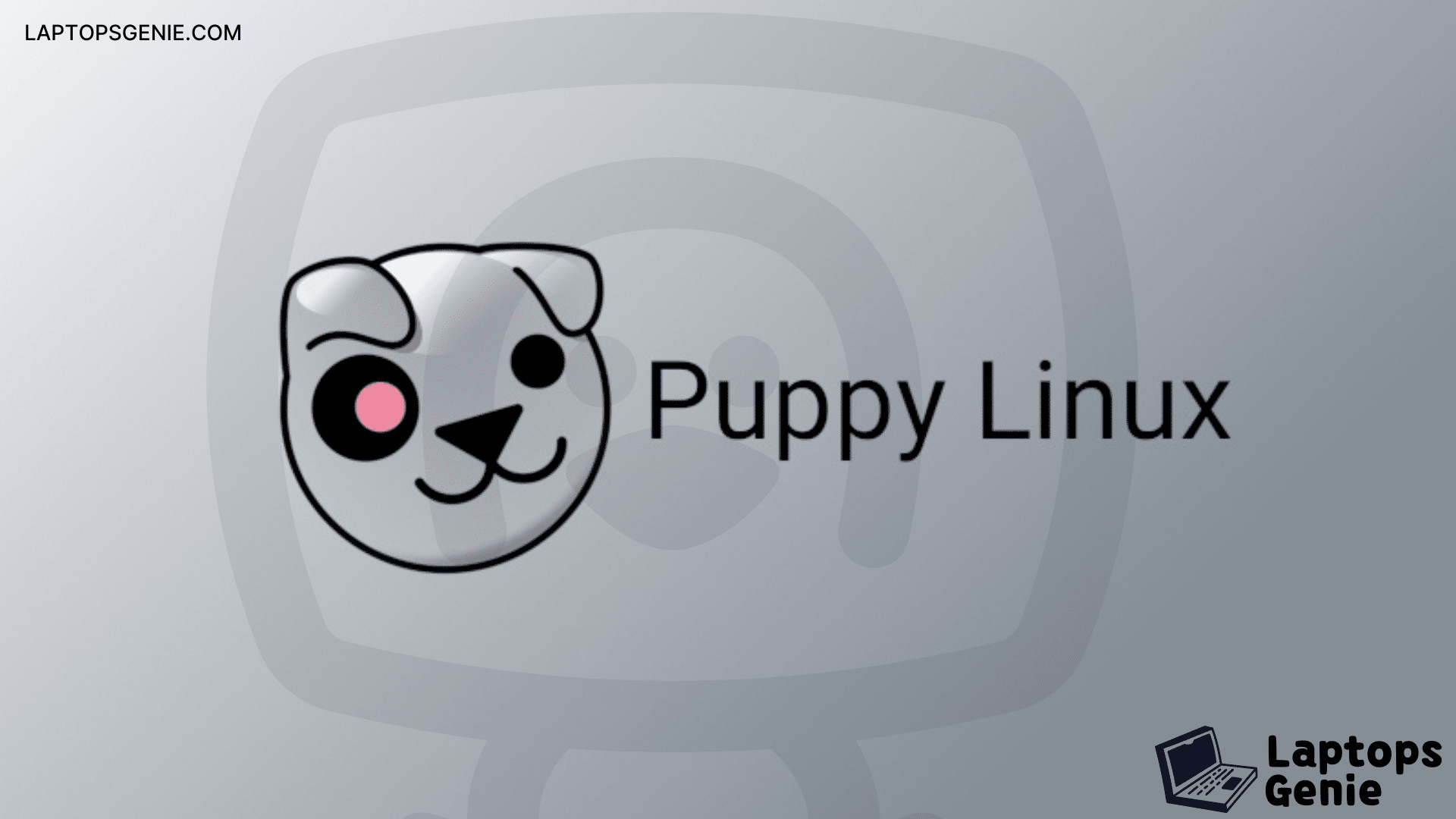 puppy linux