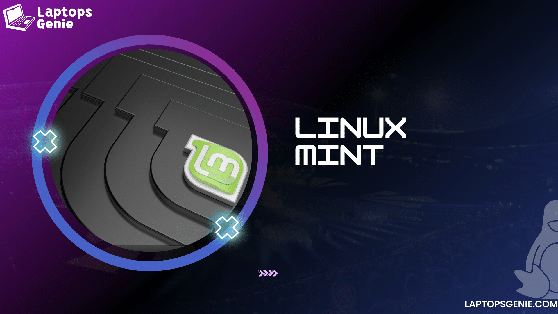 Linux Mint